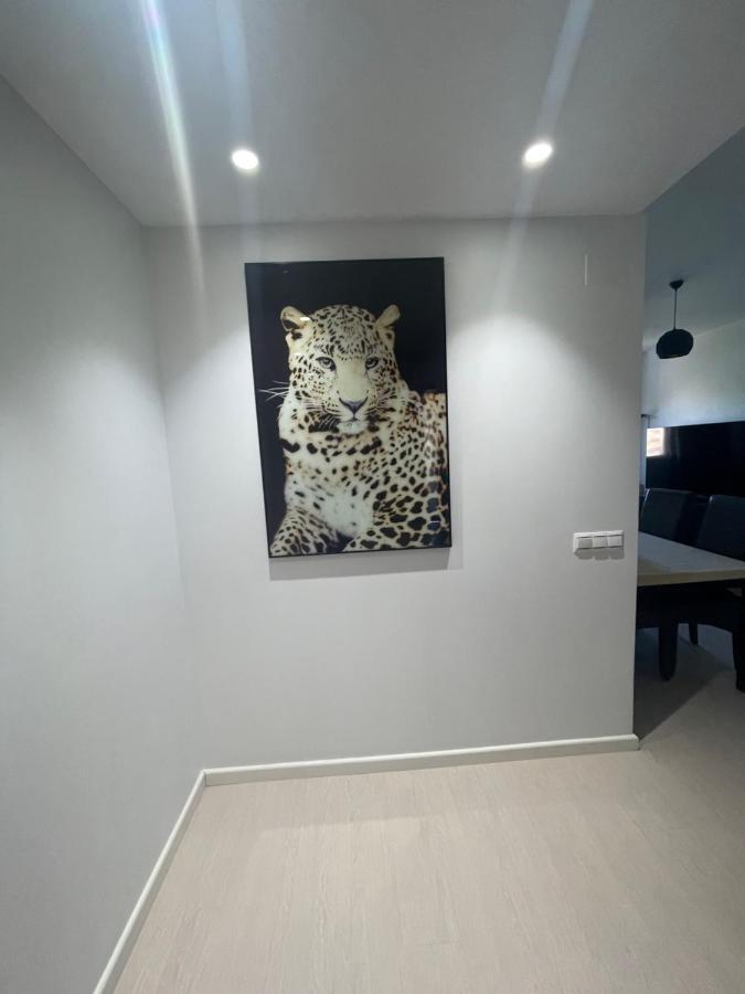Apartamento Coman Av Rey Juan Carlos I Apartment Torrent  Ngoại thất bức ảnh